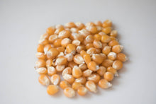 Load image into Gallery viewer, 2lb Bag of Mushroom Popcorn
