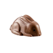 Load image into Gallery viewer, Easter Bunny Truffle Milk Chocolate
